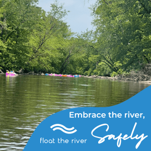 a body of water surrounded by trees