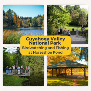 a sign in front of a tree