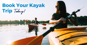 a person rowing a boat in the water