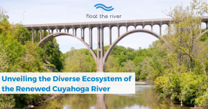 a train crossing a bridge over a river