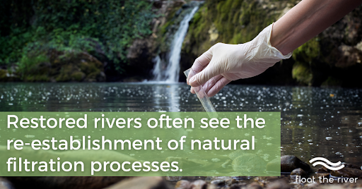Restored rivers often see the re-establishment of natural filtration processes.
